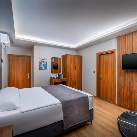Elite Istanbul Airport ホテル 5*